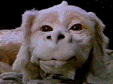 Falcor's Avatar