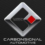 CarbonSignal's Avatar