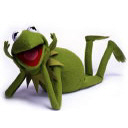 KERMIT's Avatar