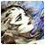 RogerIP's Avatar