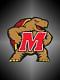 DelawareTerp's Avatar