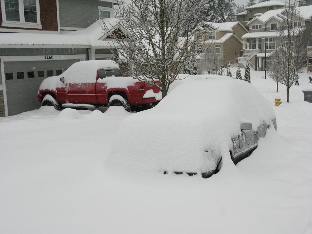 Holy ****, my Mercedes is completely covered.....glad I have a truck.