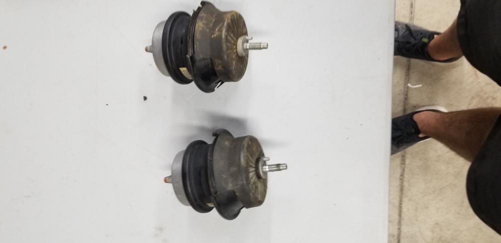 OEM motor mounts