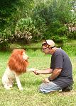 Everyone should have a pet Lion