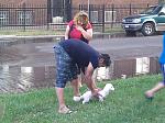 Yup, dogs in America get's cleaner water than African Kids. Water was from an open fire hydrant.
