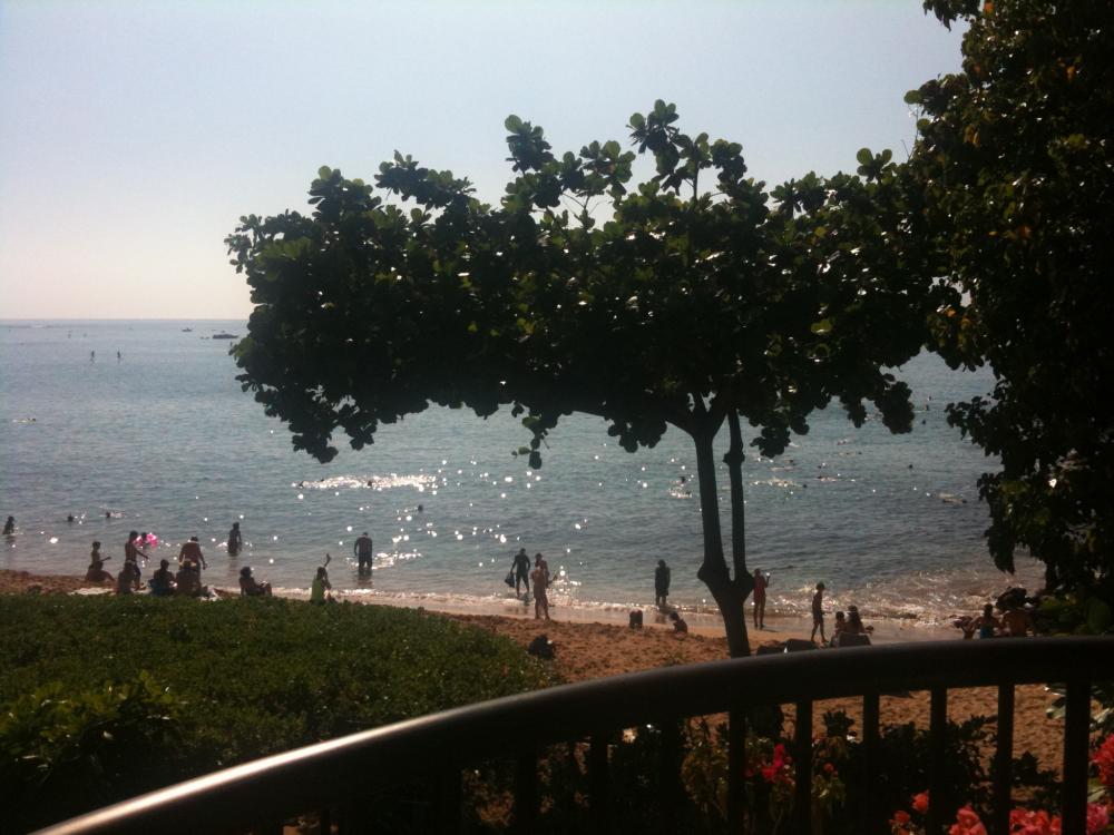 Hotel view in Maui