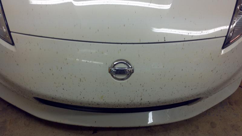 2011 04 20
bug splatter after drive home from SoCal