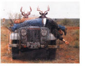 Hey Deer.......Lets Get em Mounted !