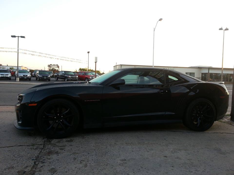 ZL1 profile full