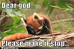 funny animal captions dear god please make it stop