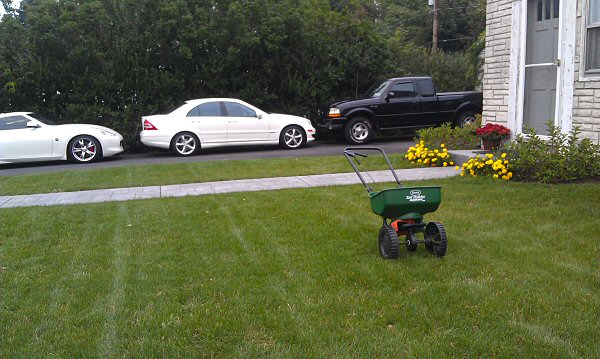 What did you do with your lawn today?