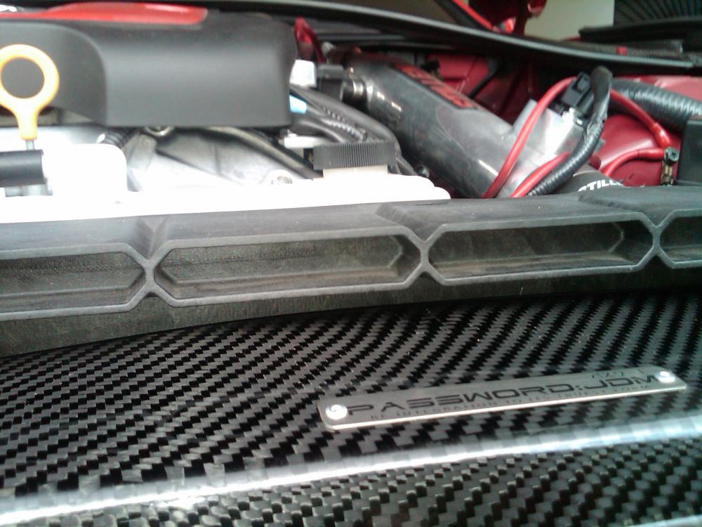 Password:JDM CF Radiator Cooling Plate Installed (1)