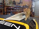 Nismo spoiler