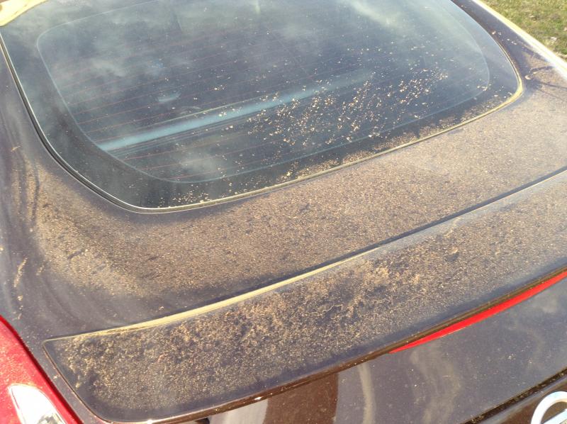 Dirty Z. When construction began near work. The dirtiest I've seen this car been.
Photo taken Jan. 14, 2016