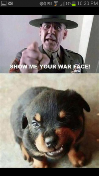 war face