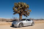 I'm out at Rainbow Basin just outside of Barstow, Ca. Loved the look of the tree. (Photo by G. A. Volb/Shutterjock)