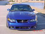 03' SVT Cobra