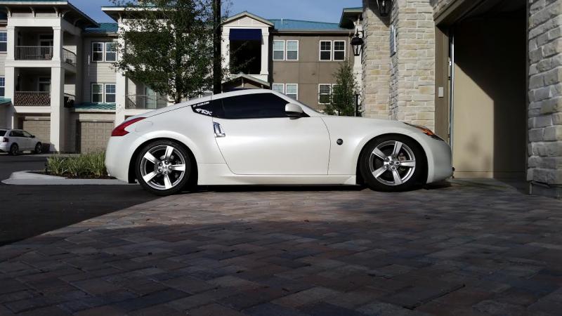 Sitting pretty after a fresh wash...these side shots always make me love her slight drop.