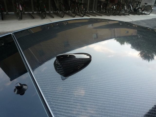 Carbon Fiber Roof & Cover