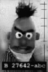 EVIL Bert!