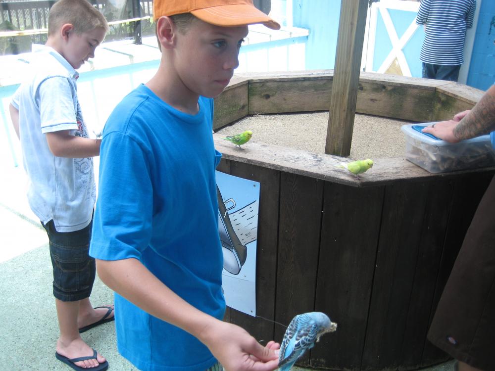 My son and his love for animals