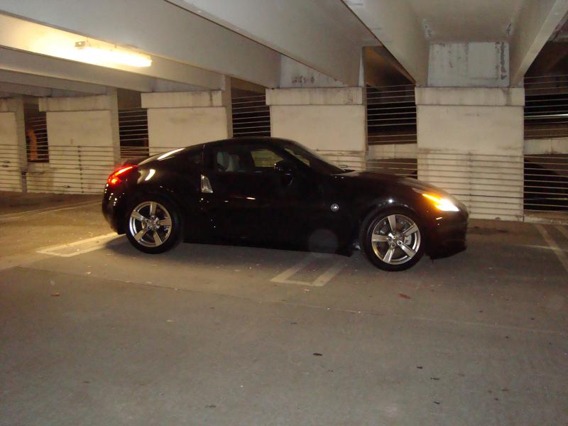 Picture 019