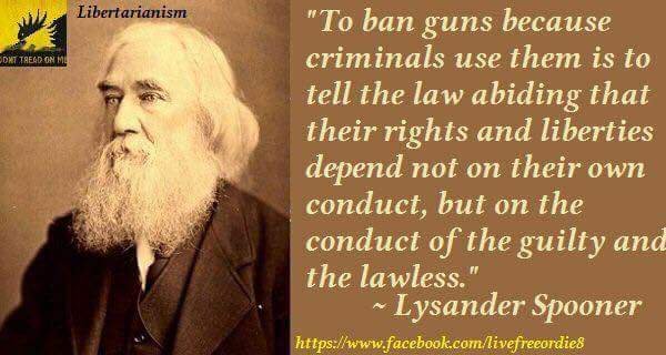 LynsanderSpooner guns